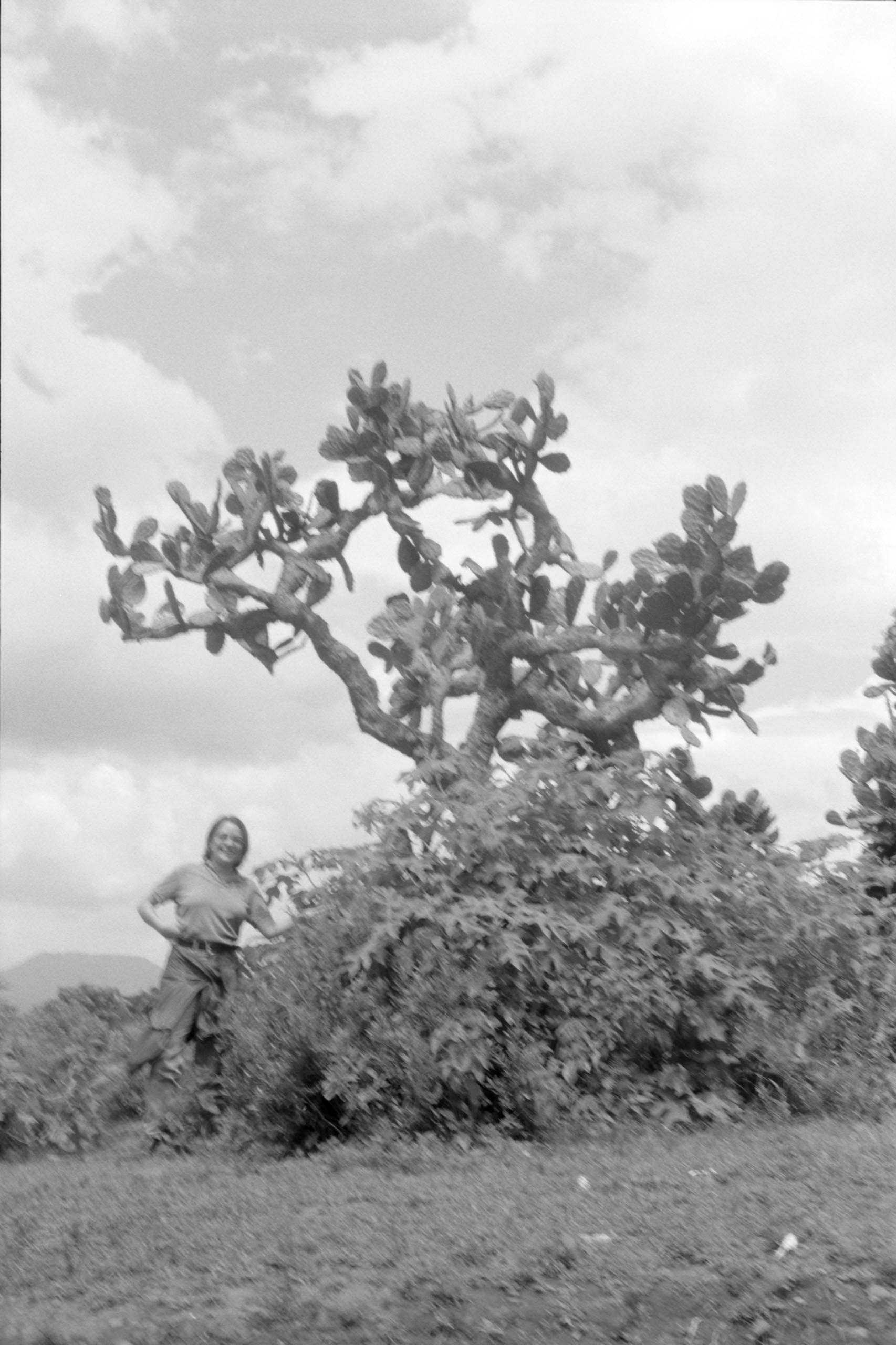 AHP FilmScan 240807 0474